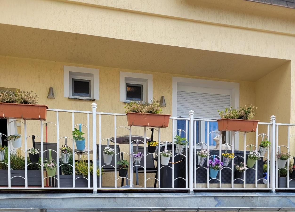 Pension Relax U Komina ฟรันทิชโกวี ลาซเน ภายนอก รูปภาพ